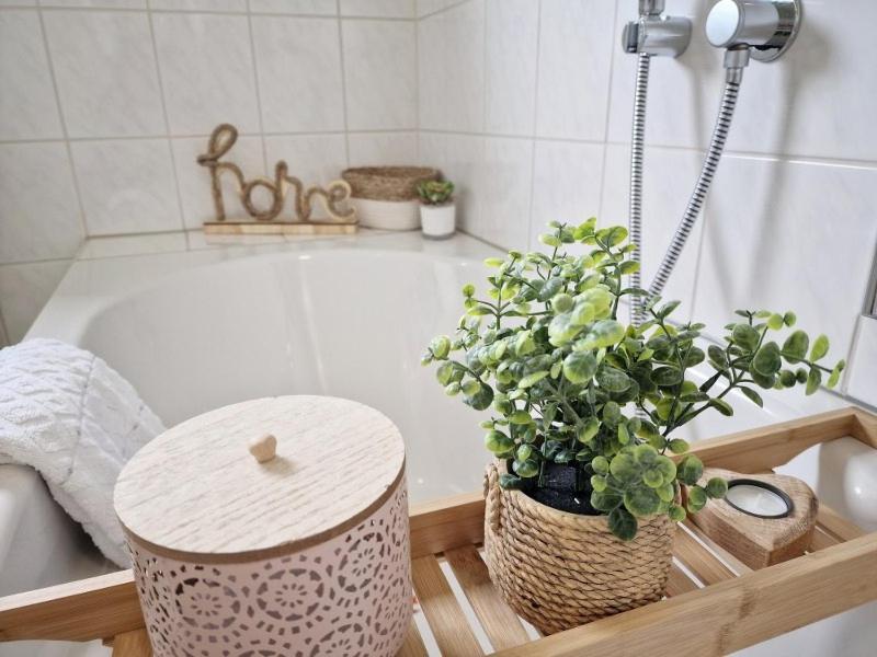 Fewo Naturgetreu Medebach Esterno foto