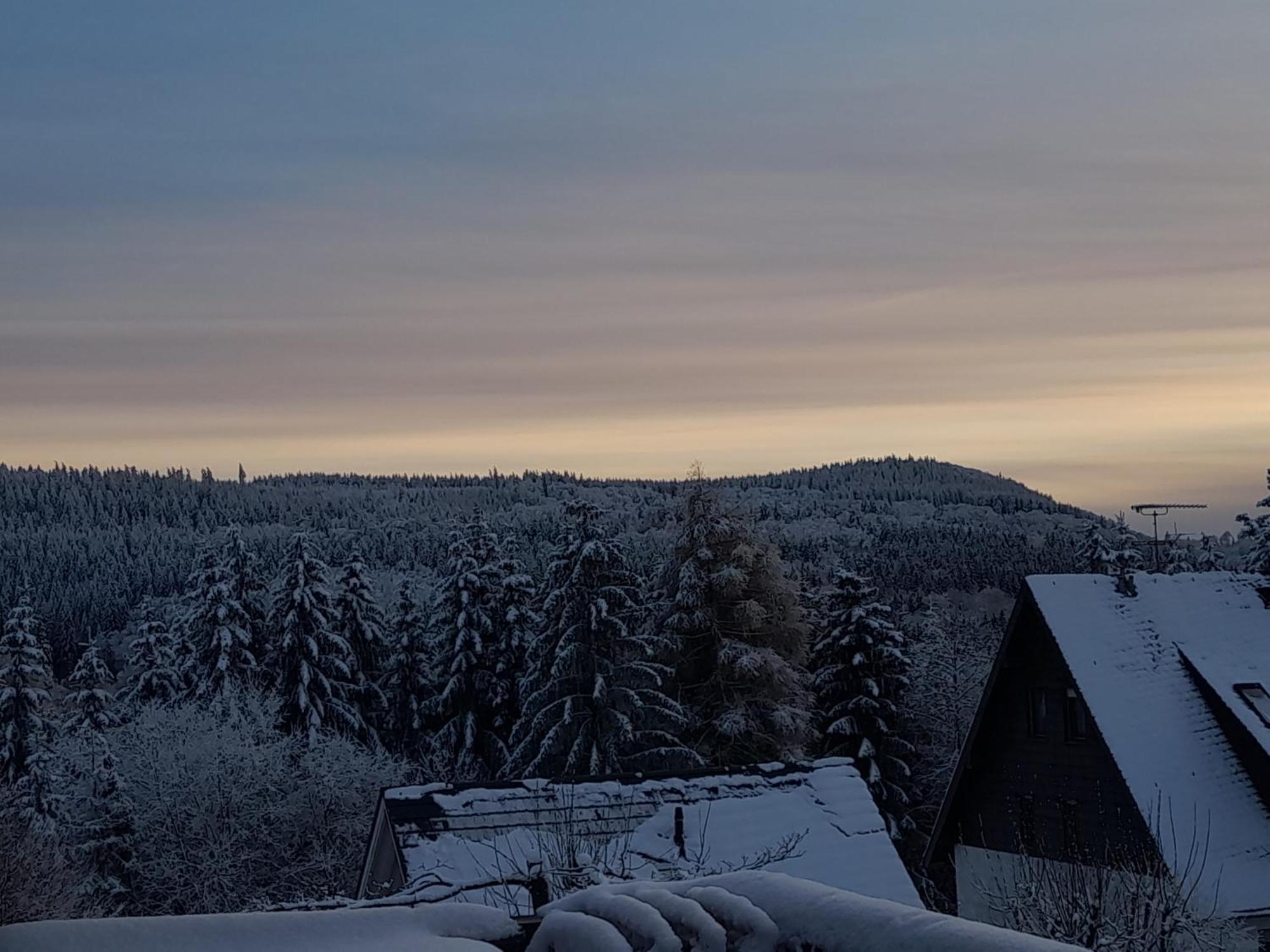 Fewo Naturgetreu Medebach Esterno foto
